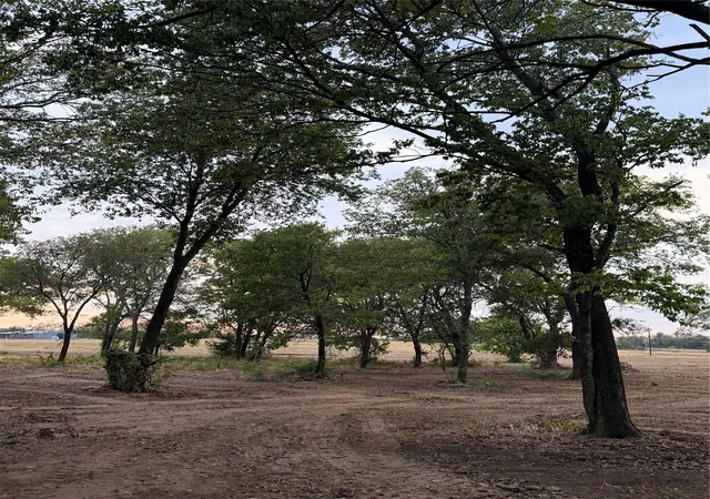 Photo 3 of Land for sale at 4808 County Rd 707, Cleburne, TX 76031 | MLS# 21383274 | Listing updated on 2026-10-01