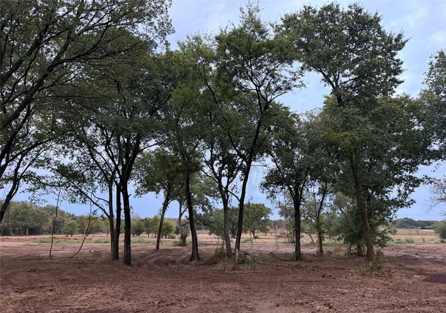Photo 3 of Land for sale at 4772 County Rd 707, Cleburne, TX 76031 | MLS# 21383270 | Listing updated on 2026-10-01