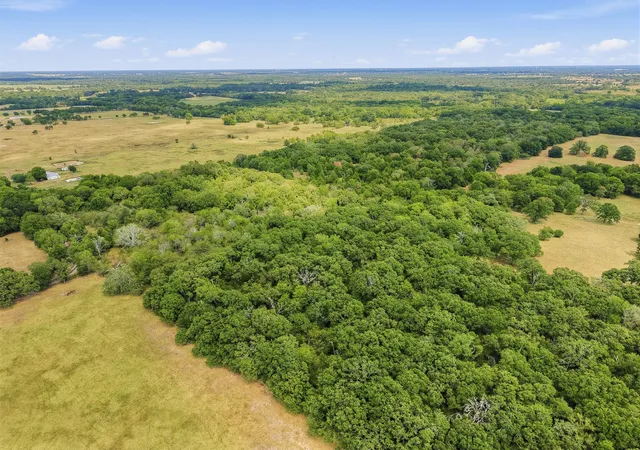 Photo 3 of Land for sale at Tbd County Rd 1153, Cumby, TX 75433 | MLS# 21396073 | Listing updated on 2026-09-26