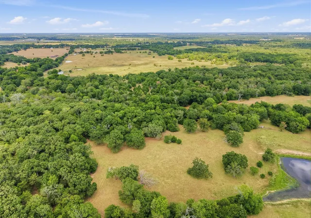 Photo 3 of Land for sale at Tbd County Rd 1153, Cumby, TX 75433 | MLS# 21396073 | Listing updated on 2026-09-26