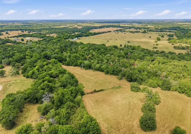 Photo 4 of Land for sale at Tbd County Rd 1153, Cumby, TX 75433 | MLS# 21396073 | Listing updated on 2026-09-26