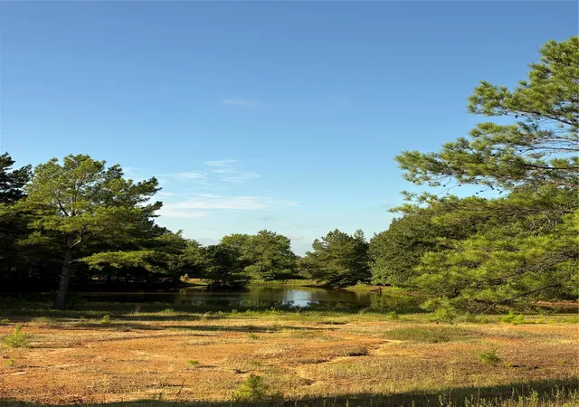 Photo 1 of Land for sale at 8965 N Us Hwy 59, Marshall, TX 75670 | MLS# 21396207 | Listing updated on 2026-09-26