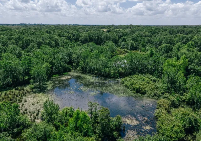 Photo 2 of Land for sale at 00 Fm 39, Mexia, TX 76667 | MLS# 21396239 | Listing updated on 2026-09-26