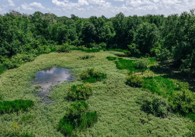 Photo 3 of Land for sale at 00 Fm 39, Mexia, TX 76667 | MLS# 21396239 | Listing updated on 2026-09-26