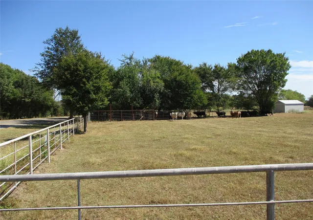 Photo 3 of Land for sale at 3366 E Fm 2795, Alba, TX 75410 | MLS# 21396273 | Listing updated on 2026-09-26