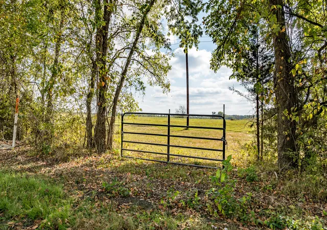 Photo 3 of Land for sale at Tbd Highway 82, Clarksville, TX 75426 | MLS# 21396145 | Listing updated on 2026-09-26