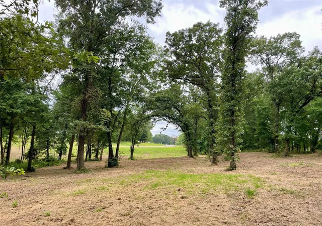 Photo 3 of Land for sale at 101 Sterling Shrs Dr, Scroggins, TX 75480 | MLS# 21396557 | Listing updated on 2026-09-26