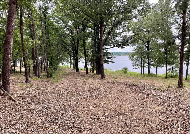 Photo 4 of Land for sale at 101 Sterling Shrs Dr, Scroggins, TX 75480 | MLS# 21396557 | Listing updated on 2026-09-26
