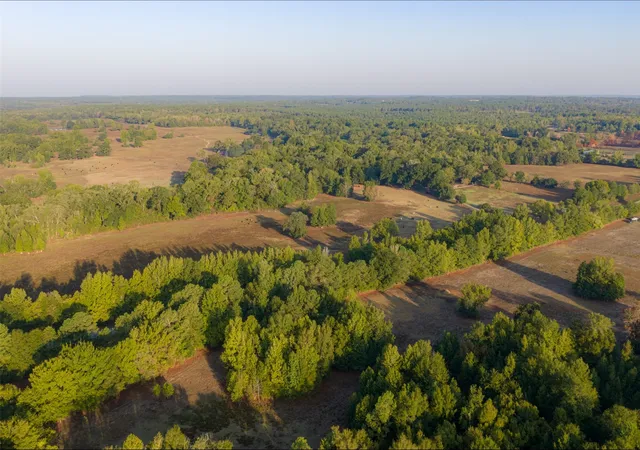 Photo 2 of Land for sale at 00 Cr 1002 N, Winnsboro, TX 75494 | MLS# 21396591 | Listing updated on 2026-09-26