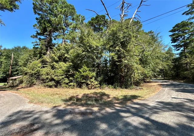 Land for sale at 11 Hillside Cir, Frankston, TX 75763 | MLS# 21396513
