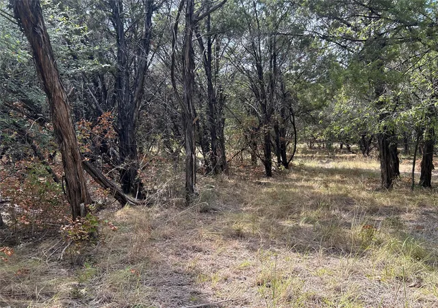 Photo 1 of Land for sale at 6020 Killmarnoch Dr, Cleburne, TX 76033 | MLS# 21395621 | Listing updated on 2026-09-29