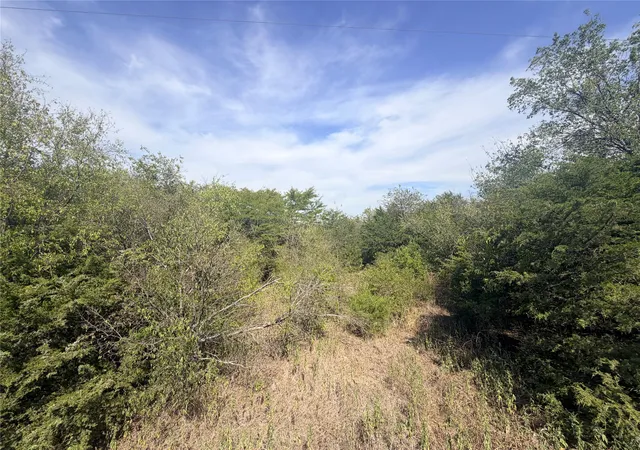 Photo 1 of Land for sale at Tbd Cr 3824, Wills Point, TX 75160 | MLS# 21393931 | Listing updated on 2026-09-27