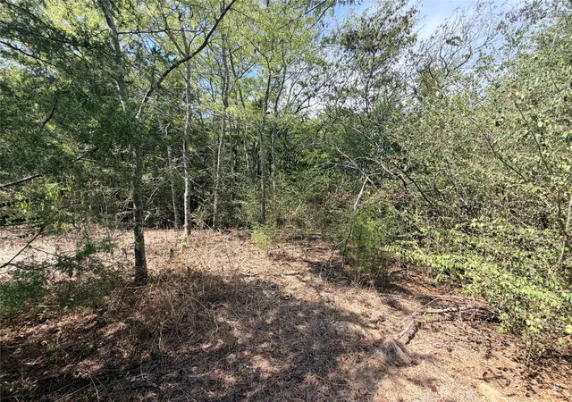 Photo 3 of Land for sale at Tbd Cr 3824, Wills Point, TX 75160 | MLS# 21393931 | Listing updated on 2026-09-27