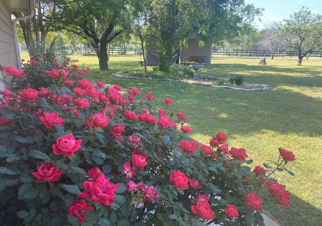 Photo 3 of House for sale at 4536 County Rd 132, Stephenville, TX 76401 | MLS# 21396623 | Listing updated on 2026-09-28