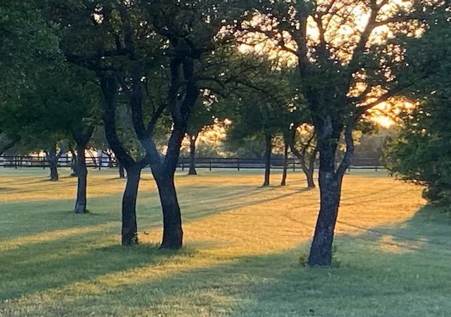 Photo 4 of House for sale at 4536 County Rd 132, Stephenville, TX 76401 | MLS# 21396623 | Listing updated on 2026-09-28