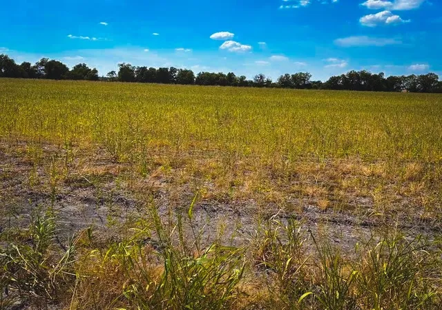 Photo 1 of Land for sale at Tbd Cr 3061, Thorndale, TX 76577 | MLS# 21397327 | Listing updated on 2026-09-28