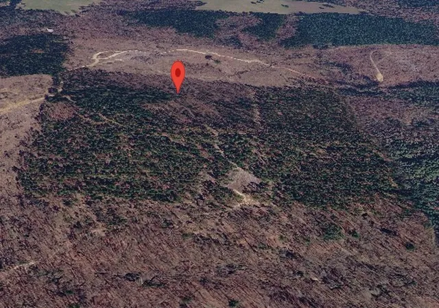 Photo 2 of Land for sale at Tract 3 County Rd 3769, Queen City, TX 75572 | MLS# 21397450 | Listing updated on 2026-09-28