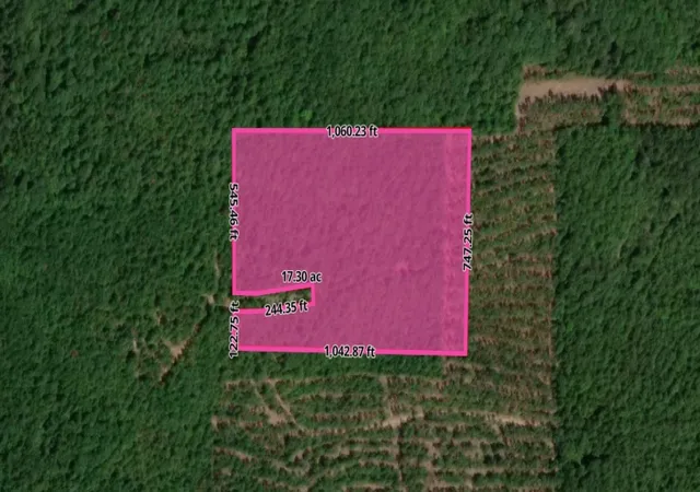 Photo 3 of Land for sale at Tract 3 County Rd 3769, Queen City, TX 75572 | MLS# 21397450 | Listing updated on 2026-09-28
