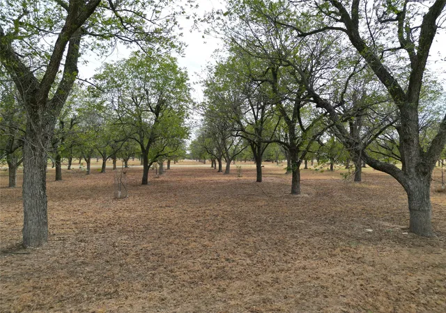 Photo 2 of Land for sale at 1313 Cirrus Loop, Granbury, TX 76049 | MLS# 21397642 | Listing updated on 2026-10-01