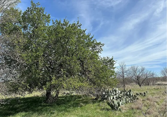 Photo 2 of Land for sale at 433 County Rd 327, Gouldbusk, TX 76845 | MLS# 21397655 | Listing updated on 2026-09-28