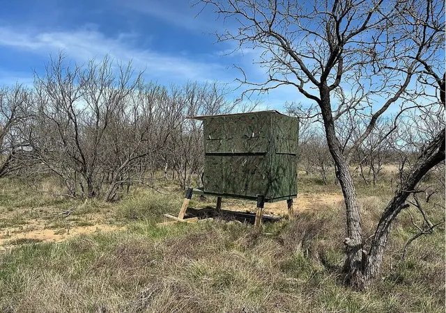 Photo 4 of Land for sale at 433 County Rd 327, Gouldbusk, TX 76845 | MLS# 21397655 | Listing updated on 2026-09-28