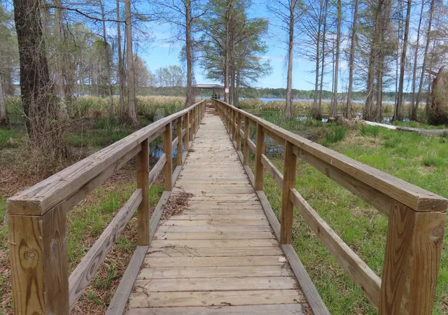 Photo 1 of Land for sale at 19 20 N Eagle Brk Dr, Lewisville, AR 71845 | MLS# 21397848 | Listing updated on 2026-09-29