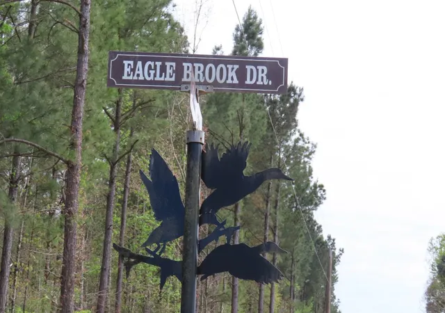 Photo 3 of Land for sale at 19 20 N Eagle Brk Dr, Lewisville, AR 71845 | MLS# 21397848 | Listing updated on 2026-09-29