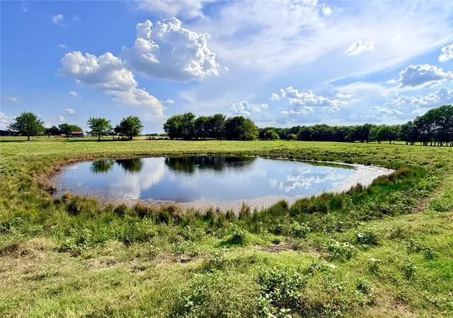 Photo 3 of Land for sale at Tbd Cr 2145, Cooper, TX 75432 | MLS# 21397991 | Listing updated on 2026-10-09