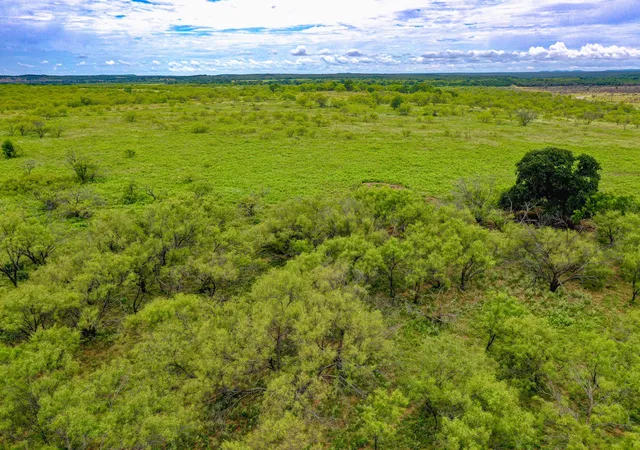 Photo 1 of Land for sale at Tbd Fm 175 Tract, Jacksboro, TX 76365 | MLS# 21392383 | Listing updated on 2026-09-30