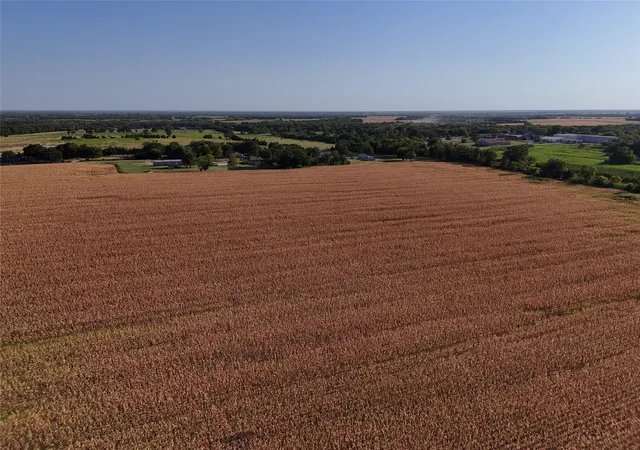 Photo 3 of Land for sale at 0026 Fm 198, Enloe, TX 75441 | MLS# 21398394 | Listing updated on 2026-09-29