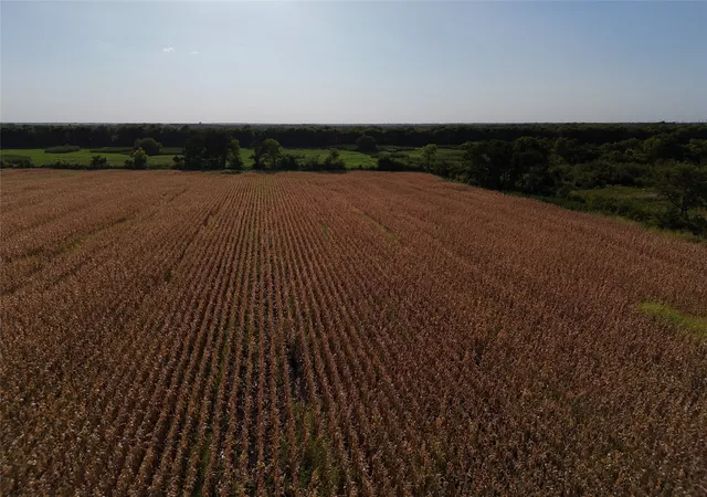 Photo 4 of Land for sale at 0026 Fm 198, Enloe, TX 75441 | MLS# 21398394 | Listing updated on 2026-09-29