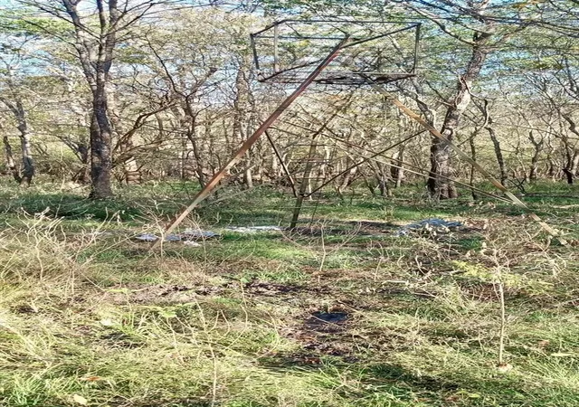 Photo 3 of Land for sale at Tbd Shawnee, Avery, TX 75554 | MLS# 21398456 | Listing updated on 2026-09-29