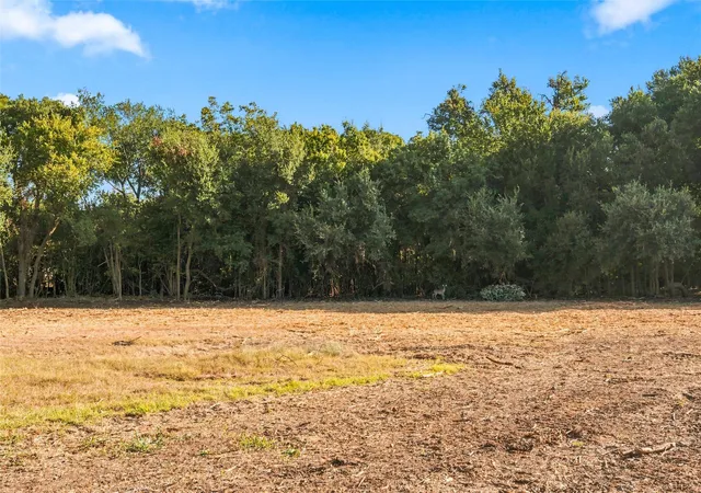Photo 3 of Land for sale at 1411 Park St, Clifton, TX 76634 | MLS# 21384468 | Listing updated on 2026-09-29