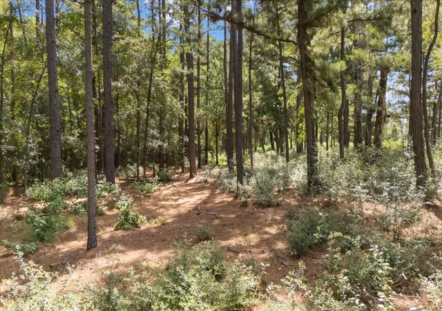 Photo 3 of Land for sale at Tract 4 Fm 1002, Big Sandy, TX 75755 | MLS# 21398642 | Listing updated on 2026-09-30