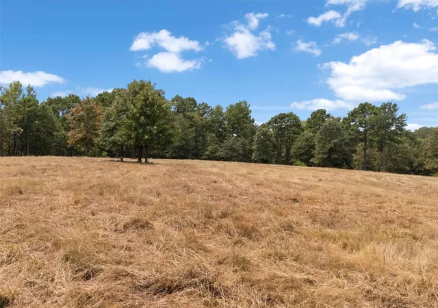 Photo 3 of Land for sale at Tbd Silk Tree Rd, Gilmer, TX 75645 | MLS# 21398712 | Listing updated on 2026-09-30