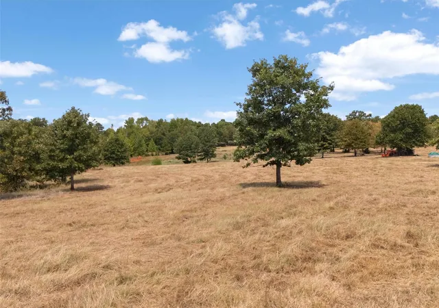 Photo 3 of House for sale at Tbd Silk Tree Rd, Gilmer, TX 75645 | MLS# 21398712 | Listing updated on 2026-09-30