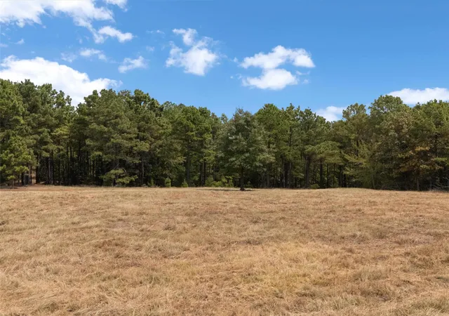 Photo 4 of House for sale at Tbd Silk Tree Rd, Gilmer, TX 75645 | MLS# 21398712 | Listing updated on 2026-09-30