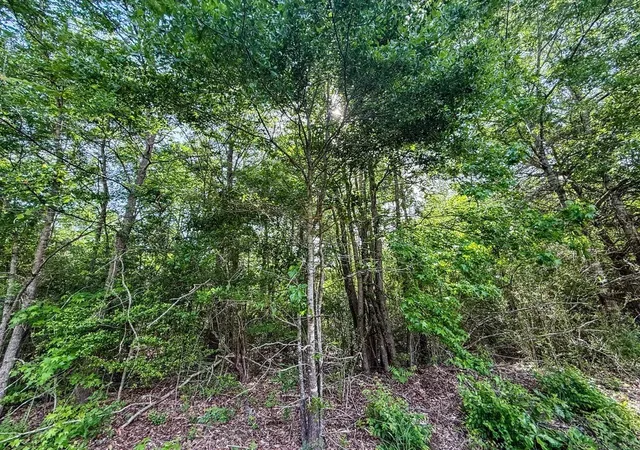 Photo 2 of Sale Pending at Tbd White Oak Rd, Gladewater, TX 75647 | MLS# 21396146 | Listing updated on 2026-10-07