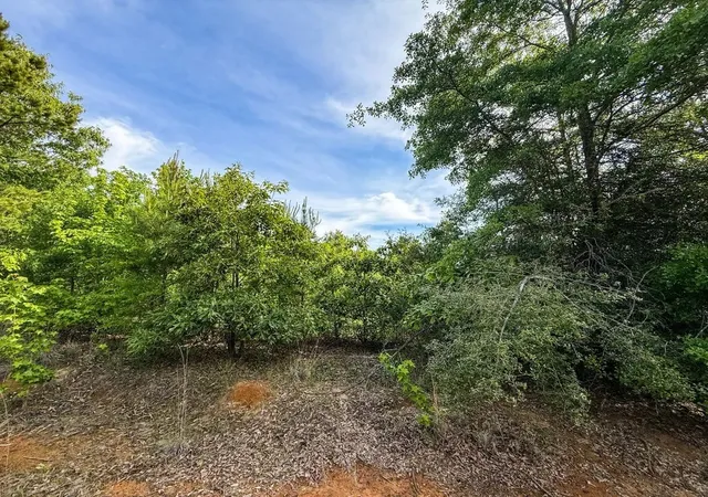 Photo 3 of Sale Pending at Tbd White Oak Rd, Gladewater, TX 75647 | MLS# 21396146 | Listing updated on 2026-10-07