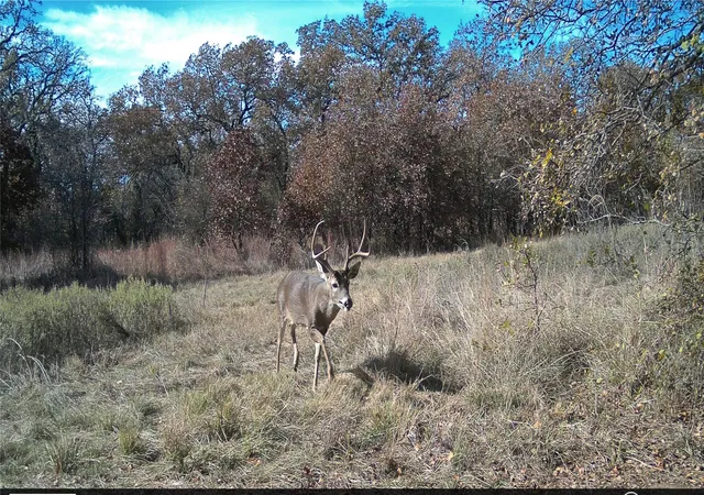Photo 2 of Land for sale at 000 Fm 2210, Perrin, TX 76486 | MLS# 21398259 | Listing updated on 2026-09-30