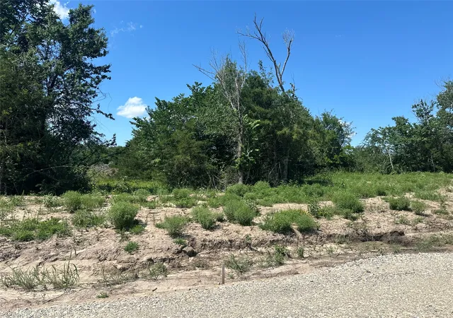 Land for sale at Lot 15 Co Rd 1110, Farmersville, TX 75442 | MLS# 21399116