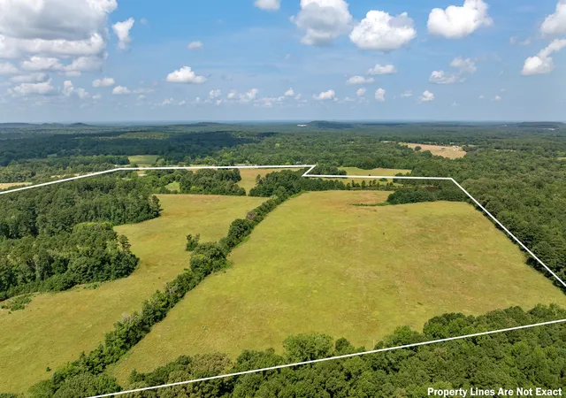 Photo 3 of Land for sale at 8468 Hydrangea Rd, Ore City, TX 75683 | MLS# 21372369 | Listing updated on 2026-10-01