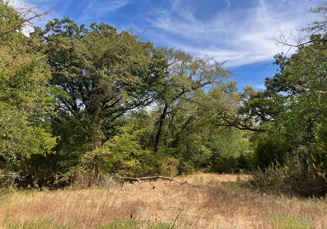 Photo 1 of Land for sale at Tbd County Rd 4758, Sulphur Springs, TX 75482 | MLS# 21399617 | Listing updated on 2026-09-30