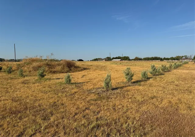 Photo 1 of Land for sale at 115 County Rd 4524 St, Whitewright, TX 75491 | MLS# 21399646 | Listing updated on 2026-09-30