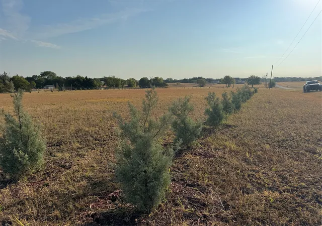 Photo 2 of Land for sale at 115 County Rd 4524 St, Whitewright, TX 75491 | MLS# 21399646 | Listing updated on 2026-09-30