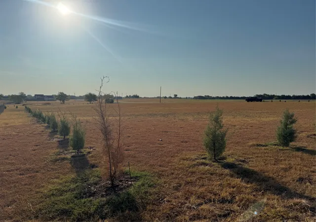 Photo 3 of Land for sale at 115 County Rd 4524 St, Whitewright, TX 75491 | MLS# 21399646 | Listing updated on 2026-09-30