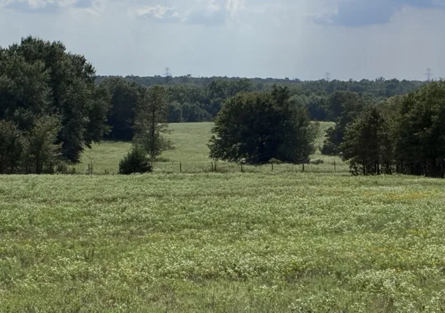 Photo 2 of Land for sale at Tbd Fm 833, Fairfield, TX 75840 | MLS# 21399671 | Listing updated on 2026-09-30