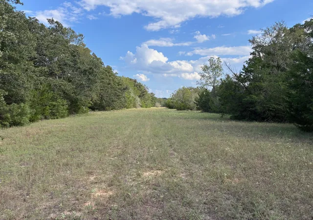 Photo 3 of Land for sale at Tbd Fm 833, Fairfield, TX 75840 | MLS# 21399671 | Listing updated on 2026-09-30