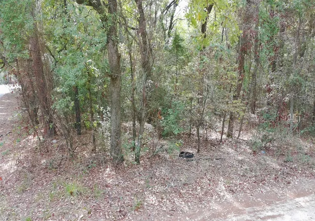 Photo 2 of Land for sale at 115 Private Rd 7533, Hawkins, TX 75765 | MLS# 21399413 | Listing updated on 2026-10-03