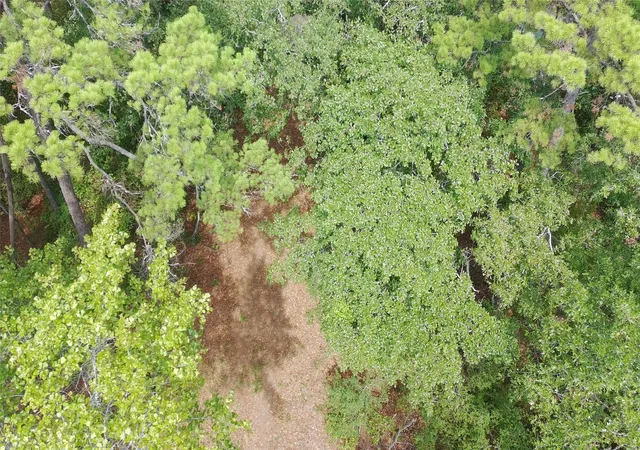 Photo 3 of Land for sale at 115 Private Rd 7533, Hawkins, TX 75765 | MLS# 21399413 | Listing updated on 2026-10-03